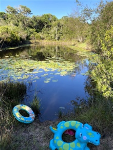 Kuthumba's Community Swimming Hole