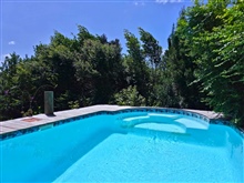 Private Treetop Swimming Pool